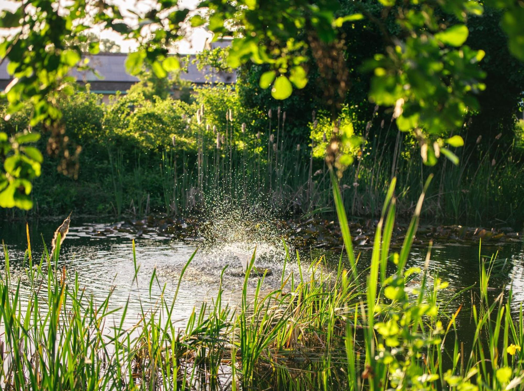 The Waterfront Hotel Spa & Golf St Neots Extérieur photo